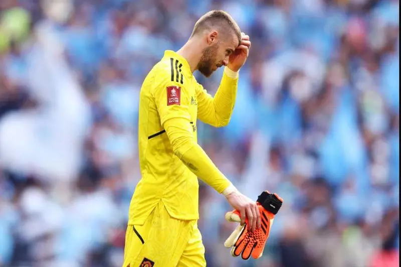 ديفيد دي خيا